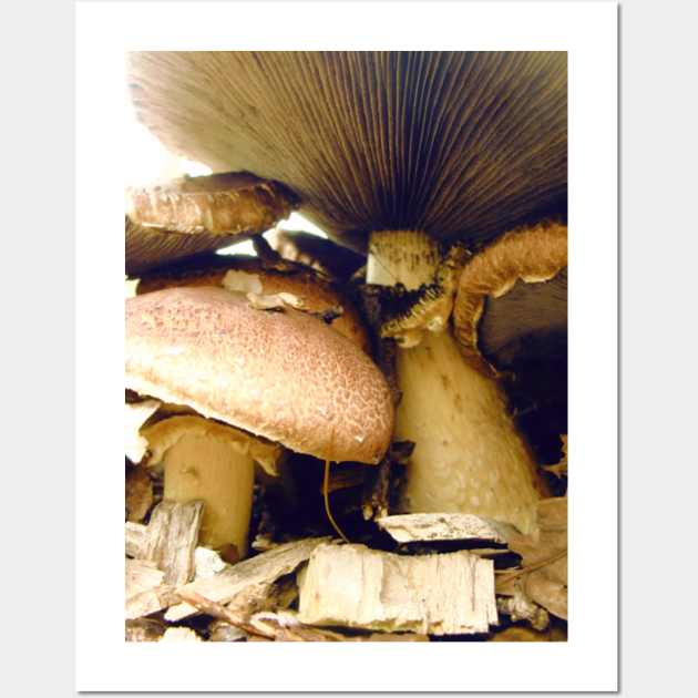 Under Mushroom Wall Art by saradaboru